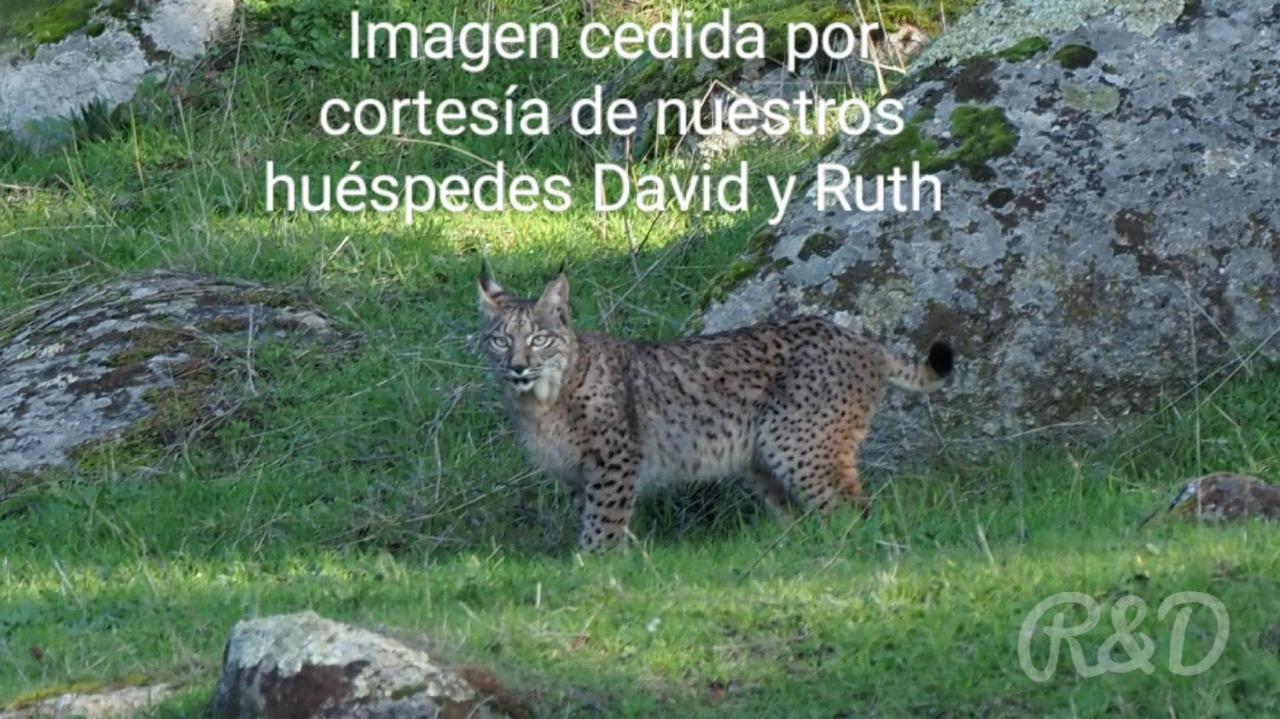 La Isabelita Villa Andújar Eksteriør billede